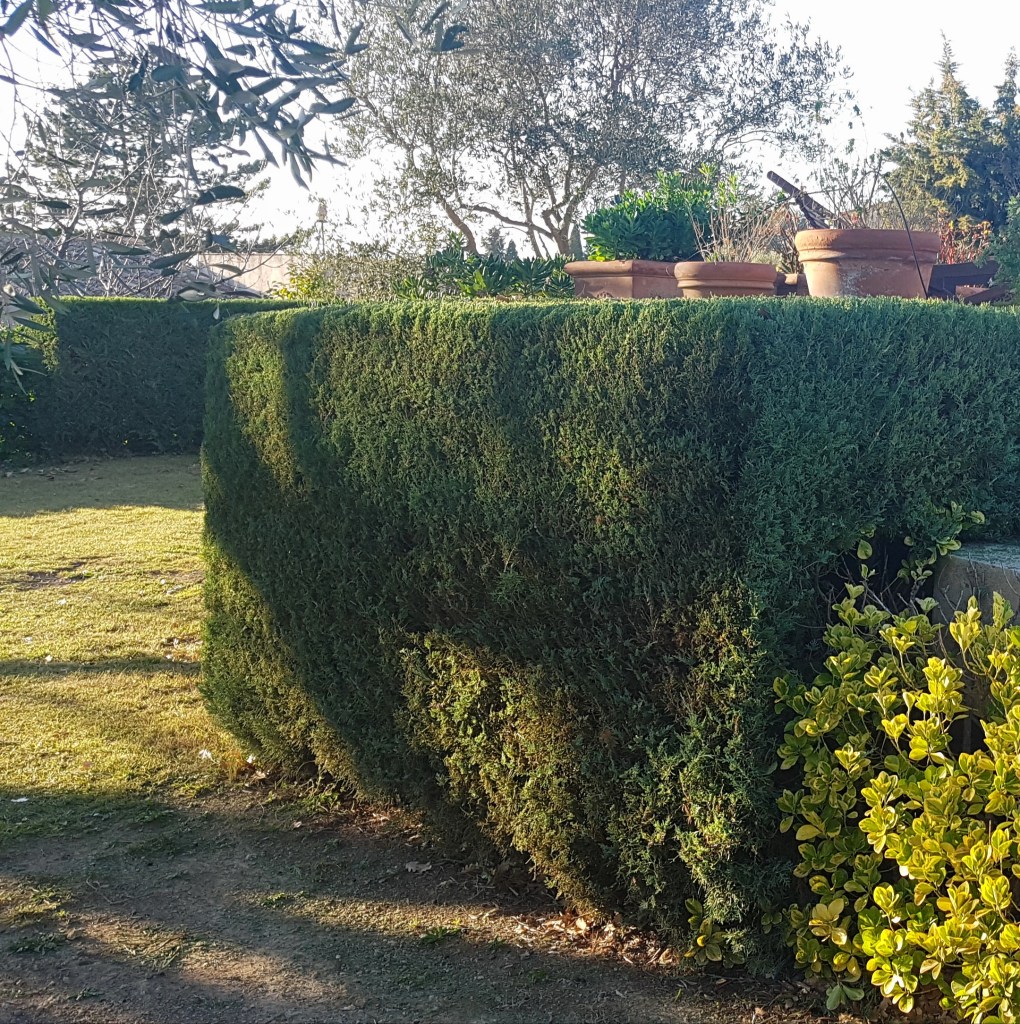 taille structurée